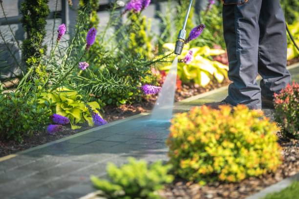 Best Gutter Cleaning  in Pearl River, LA