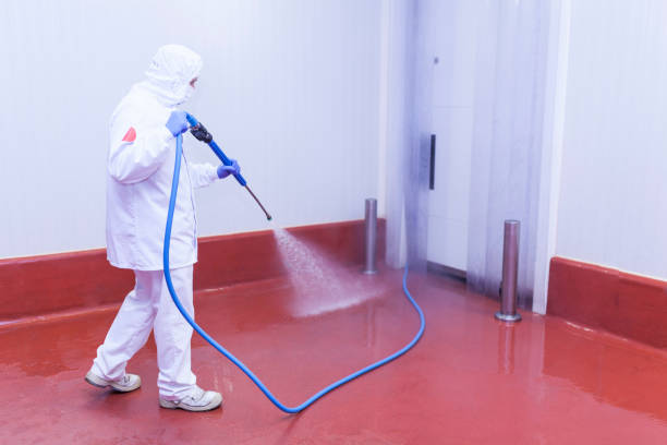 Best Playground Equipment Cleaning  in Pearl River, LA